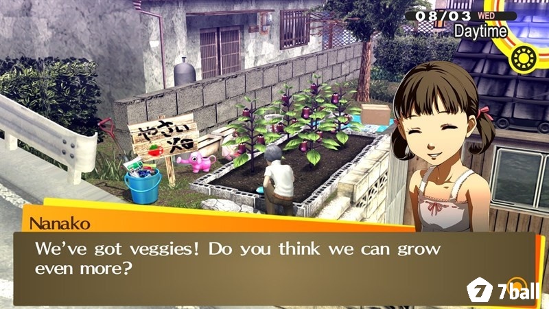 Cốt truyện game xoay quanh một học sinh trung học đến thị trấn Inaba và bị cuốn vào những vụ án bí ẩn