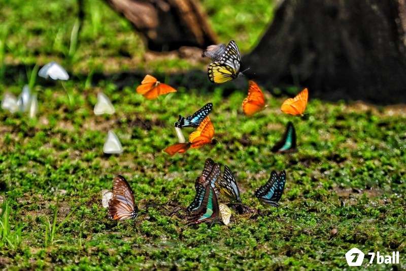 Tìm hiểu dự báo tâm linh sẽ giúp bạn nắm bắt tốt hơn những tín hiệu từ tiềm thức