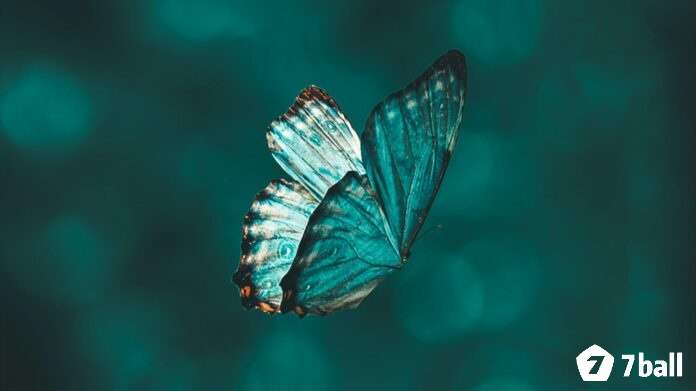 Giấc mơ thấy bướm mang ý nghĩa về sự biến đổi, trưởng thành và những khởi đầu mới