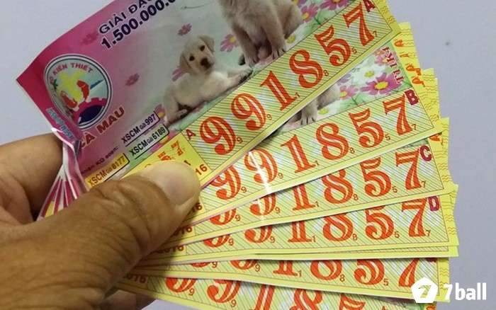 Giải mã giấc mơ thấy trúng số đánh con gì và các điềm báo liên quan