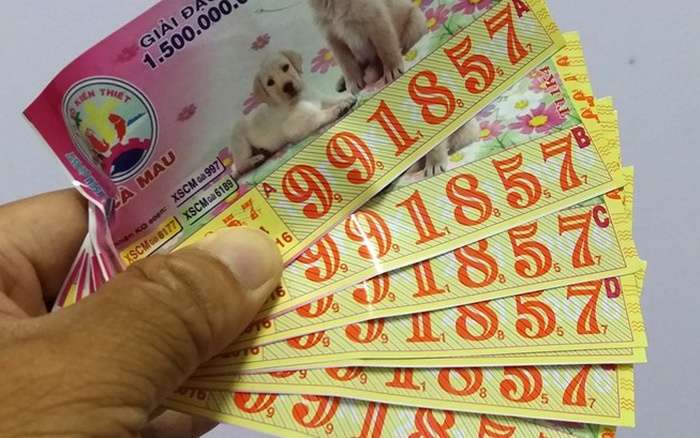 Mơ thấy trúng số đánh con gì? Điềm báo lành hay dữ?