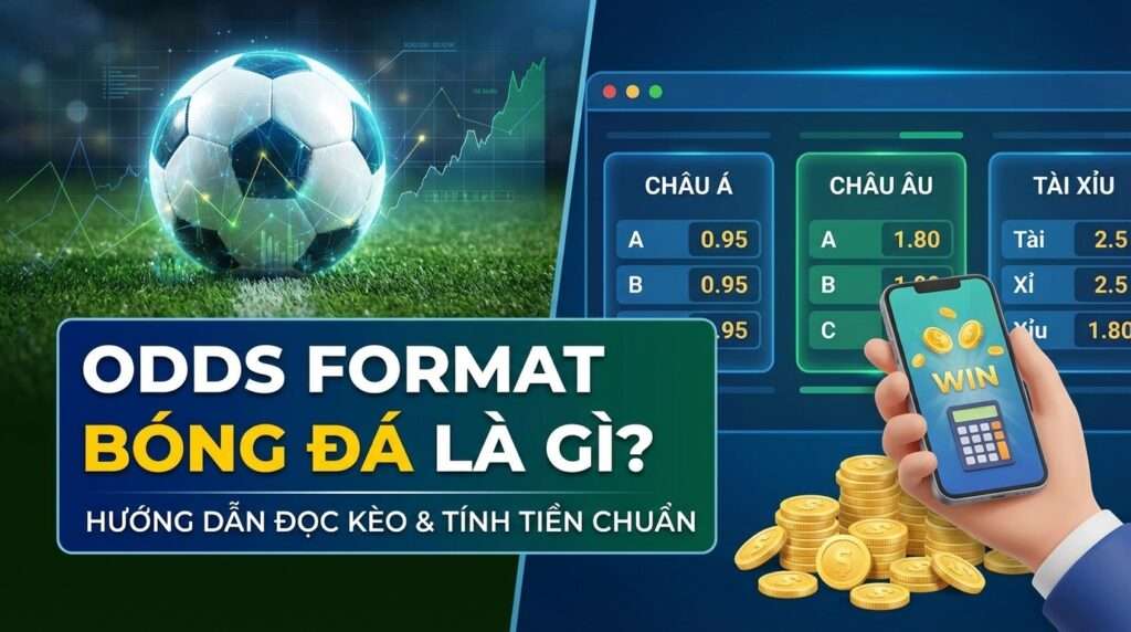 Odds format bóng đá là gì? Cách tính tiền thắng chuẩn